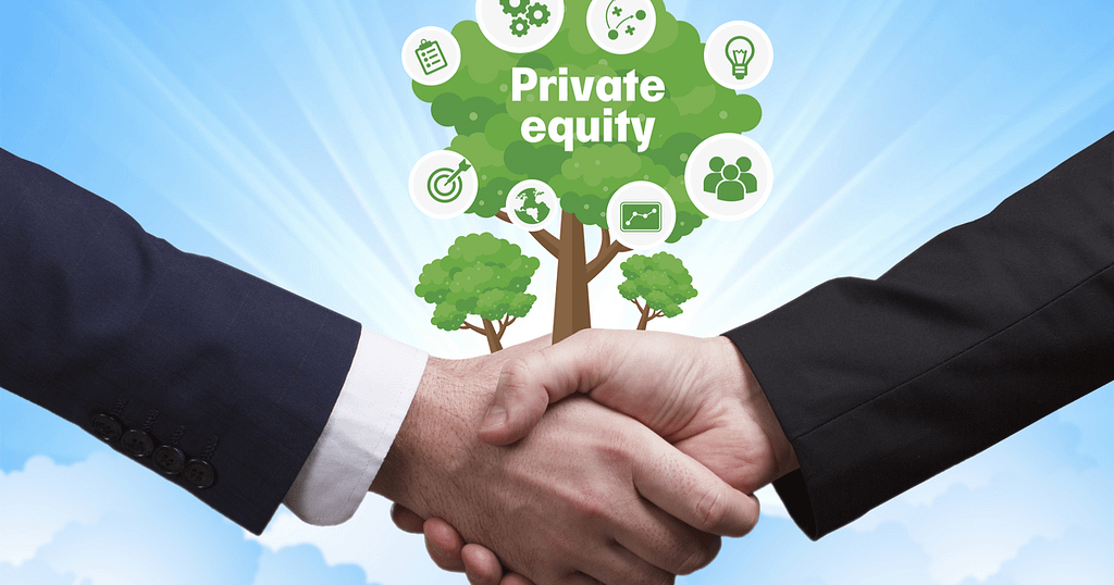 Private Equity Consulting for sustainable growth
