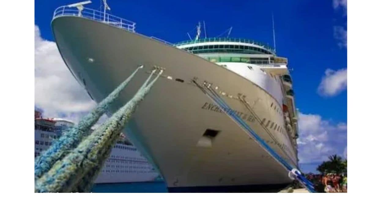 unveiling-the-enchantment-of-wildlife-respectful-cruises