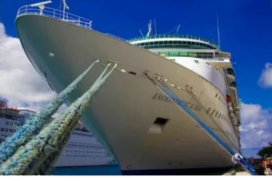 unveiling-the-enchantment-of-wildlife-respectful-cruises